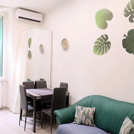 New Varese Venus 罗马